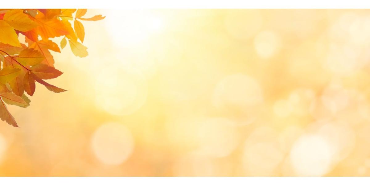 Header Background